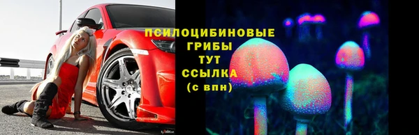 прущая мука Аша