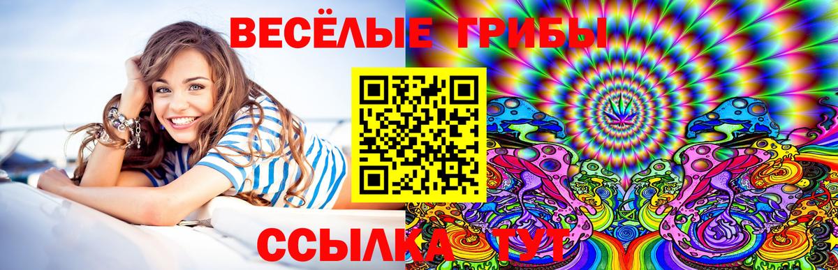 Галлюциногенные грибы Magic Shrooms  Вход с VPN  Тайшет 