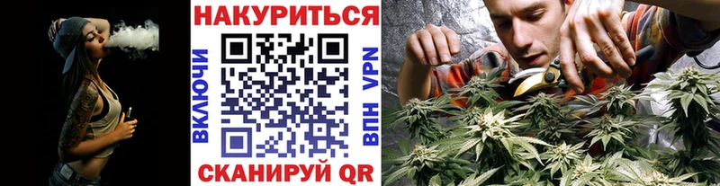 Бошки Шишки VHQ  Тайшет 